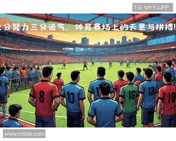 足球明星之巅的传奇旅程揭示了他们背后的努力与荣耀