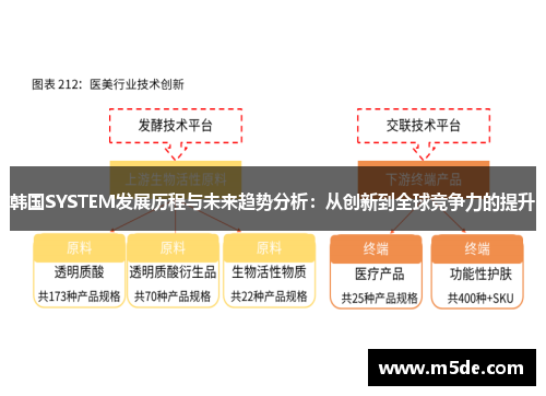 韩国SYSTEM发展历程与未来趋势分析：从创新到全球竞争力的提升